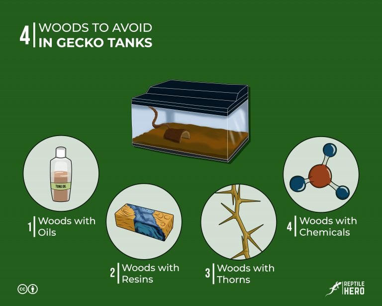 9 Woods Safe For Gecko Tanks [and 16 to Avoid]