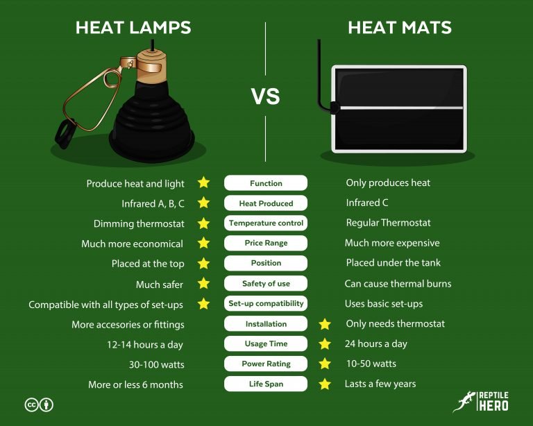 The 11 Differences Between Heat Lamps and Heat Mats? Which Is the Best?