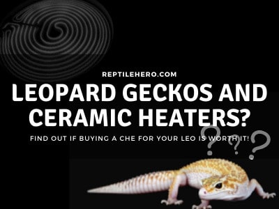 Are Ceramic Heat Emitters Good for Leopard Geckos?