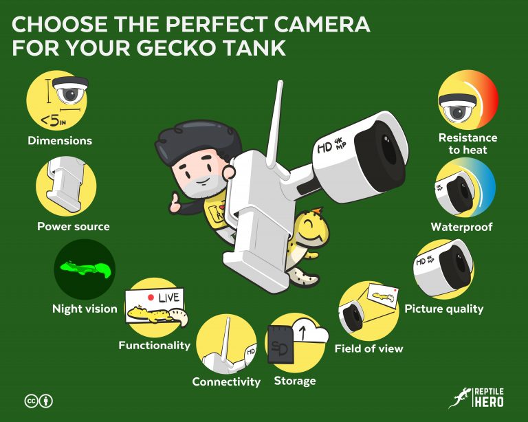 Choose the Perfect Camera For Your Gecko Tank