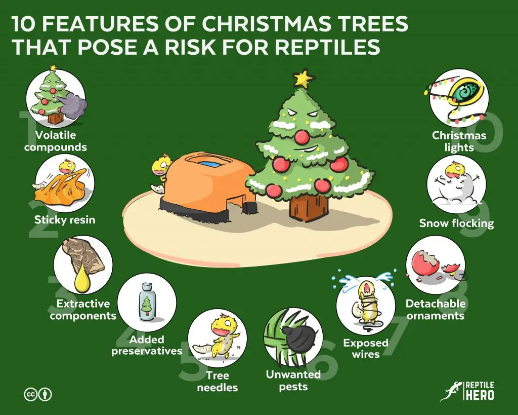 Christmas trees pose risk for reptiles 10 features