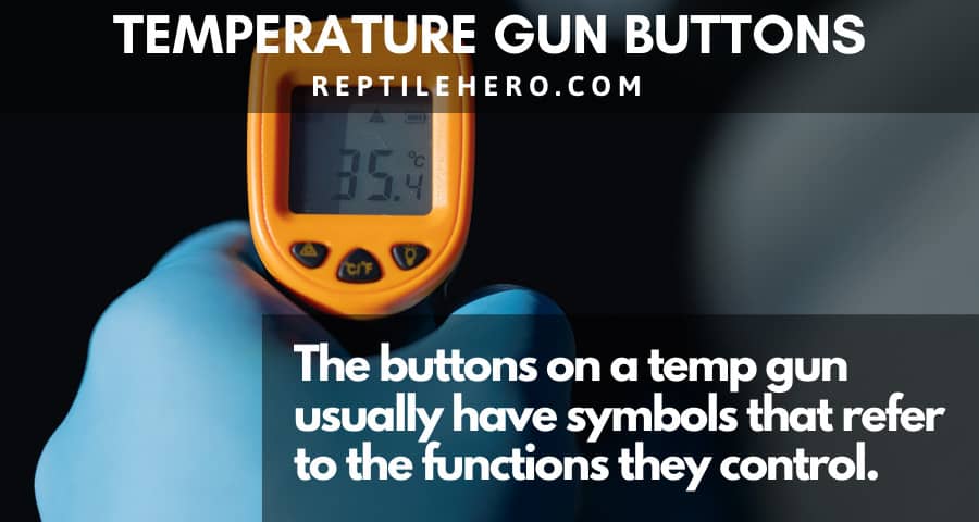 Infrared Temp Gun Thermometer - Underground Reptiles