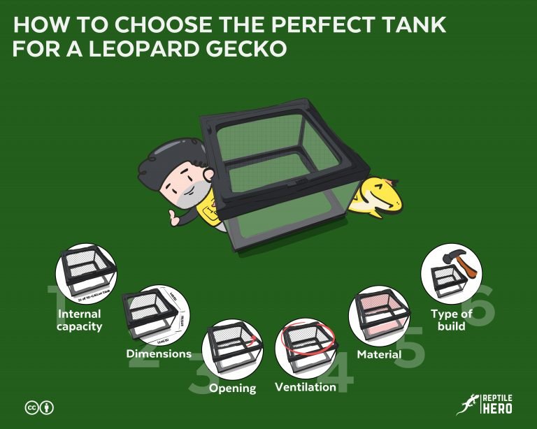 How To Choose The Perfect Tank For a Leopard Gecko