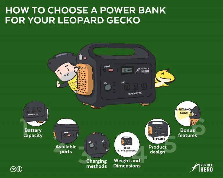 How To Choose A Power Bank For Your Leopard Gecko [Size, Type]