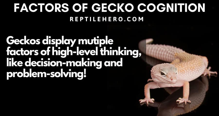 Factors of Gecko Cognition 
