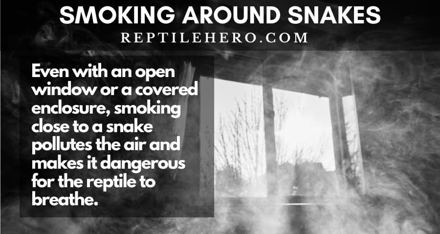 Smoking near a snake pollutes the air and makes it dangerous for the reptile to breathe, even if you have an open window or a covered enclosure.