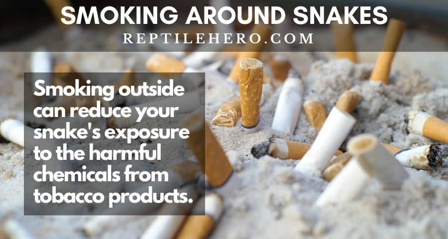 Smoking outside can help alleviate your snake's exposure to tobacco's toxic chemicals.