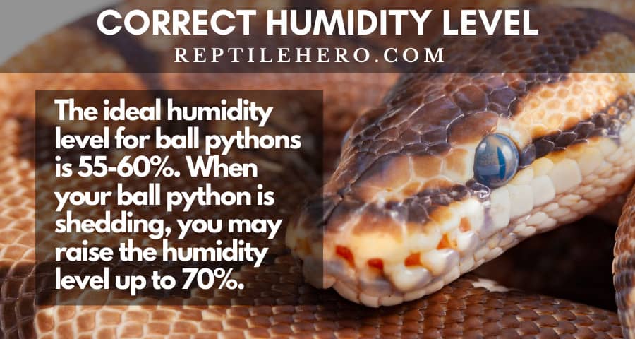 Monitor and Maintain Correct Humidity