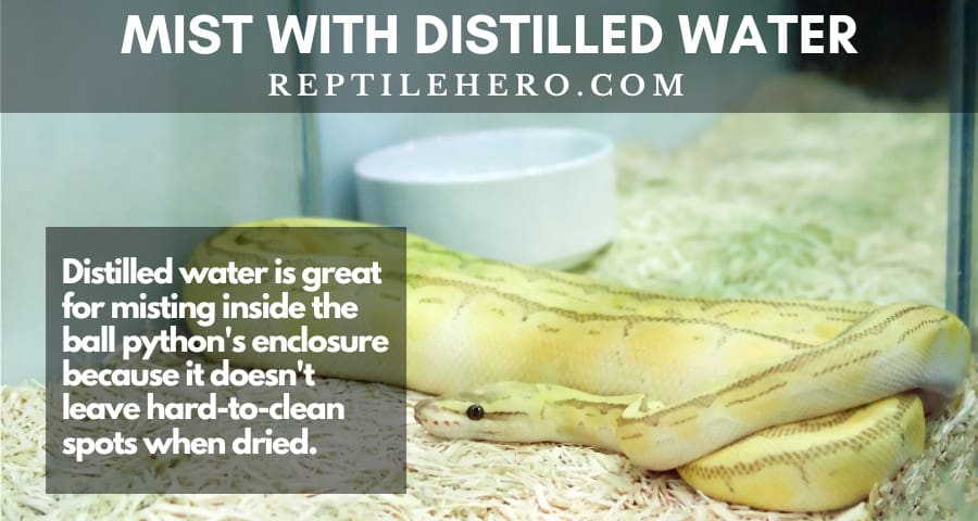 Distilled water is ideal for misting snake's enclosure 