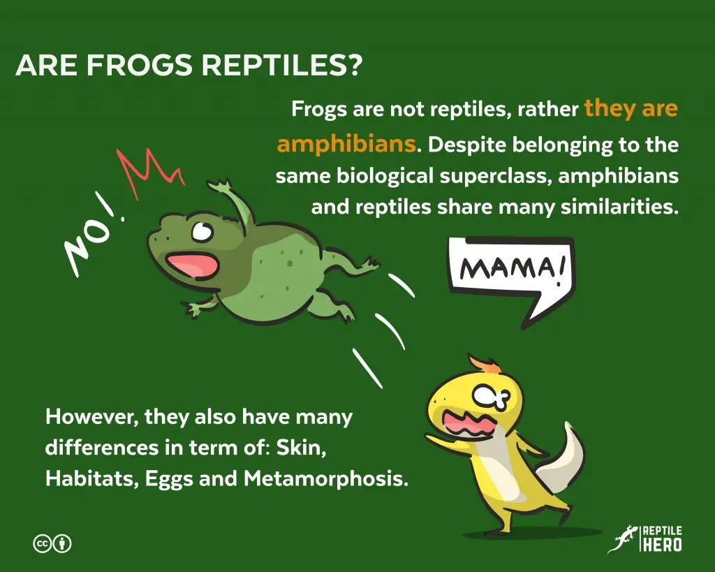 are frogs reptiles