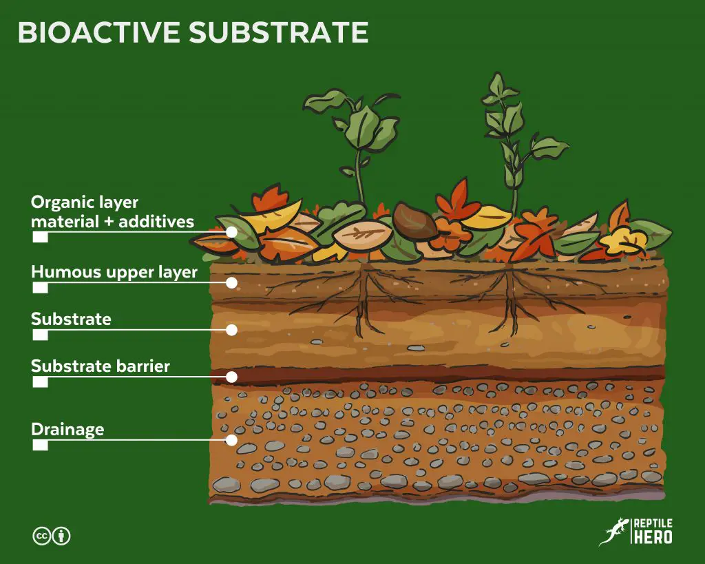 Bioactive Substrate Components