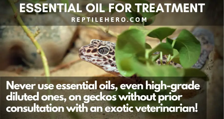 Essential Oils for Treatment