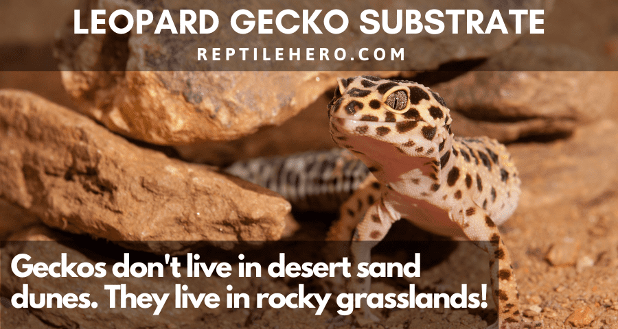 Natural Leopard Gecko Substrate
