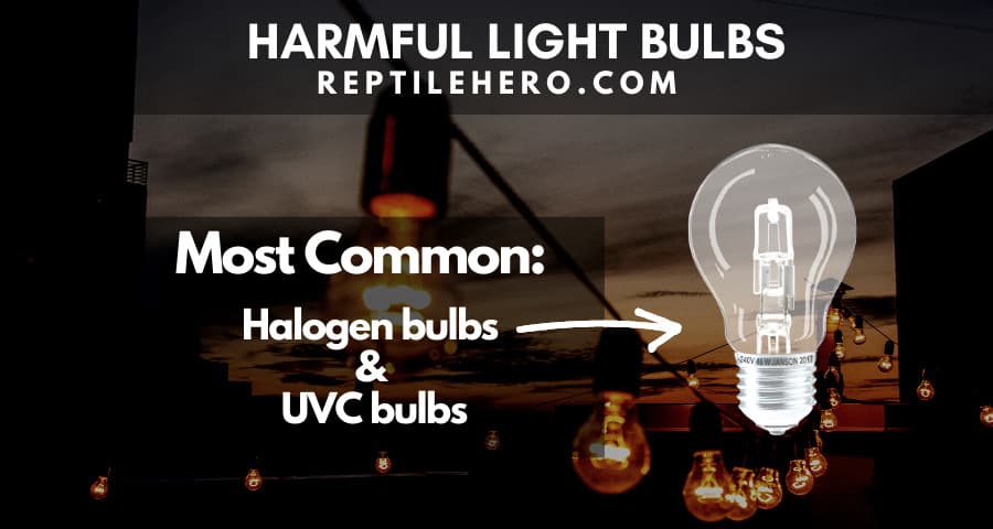 Harmful lightbulbs