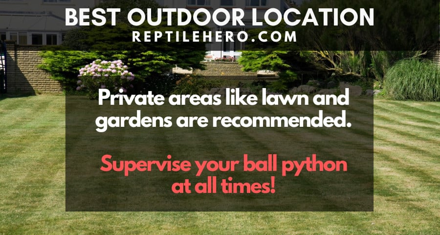 Best outdoor location for ball pythons