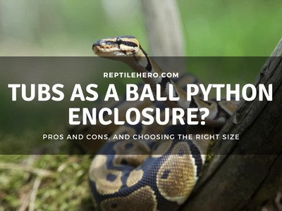 Can You Use Tubs as a Ball Python Enclosure? What’s The Best Size?