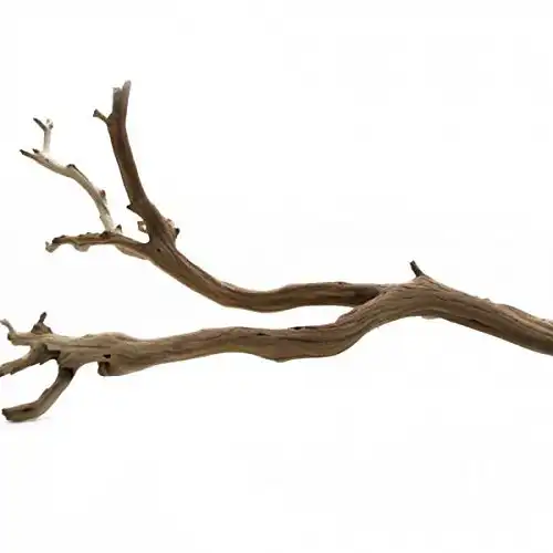 Koyal Wholesale California Driftwood with Natural Brown Branches, 12-Inch