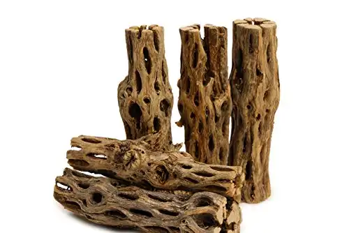 NilocG Aquatics 5 Pieces 5-6" Long Natural Cholla Wood for Aquarium Decoration